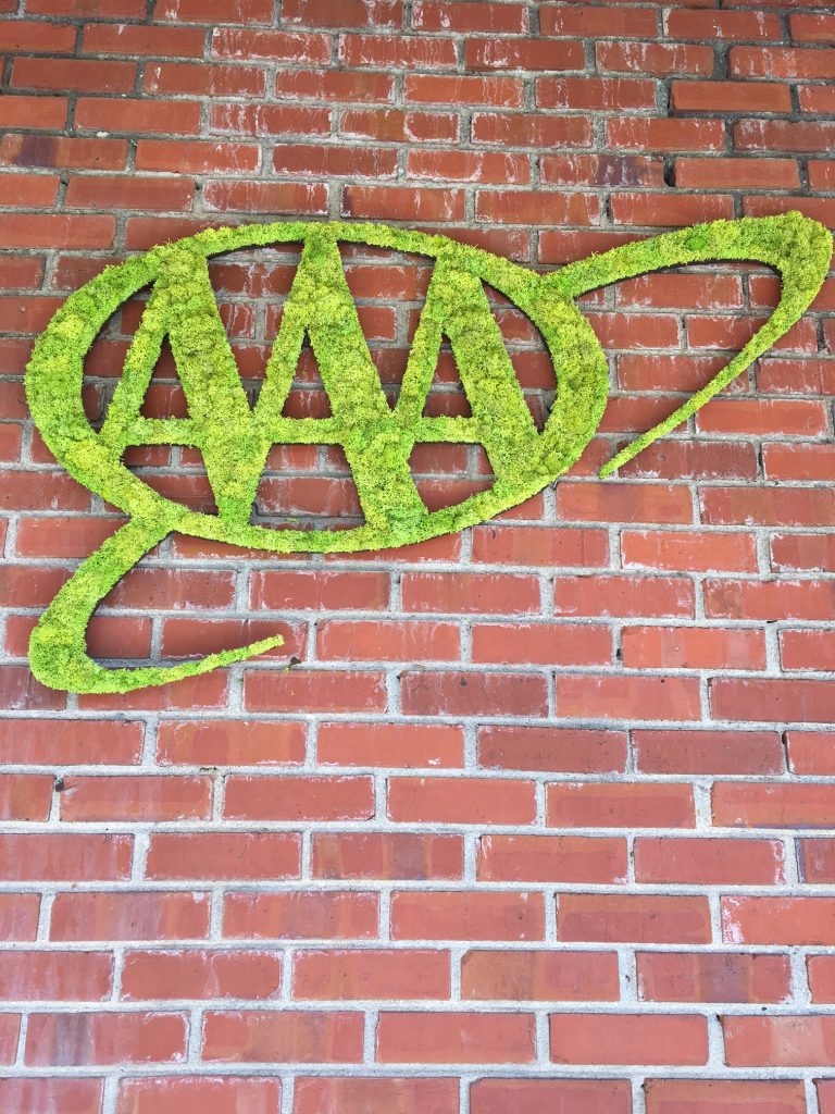 AAA Carolinas Moss Art