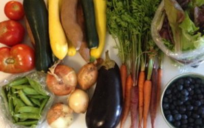 NoDa Welcomes Farmers Market