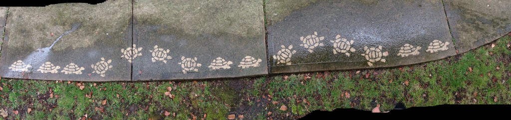 A row of #thesavageway's Clean Graffiti turtles lining a sidewalk in front of a home.