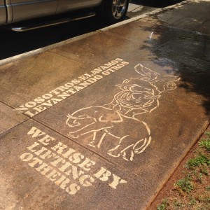Clean Graffiti in Charlotte, NC - #thesavageway