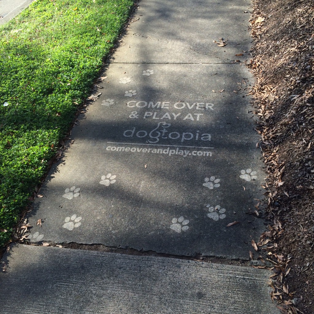 Love the use of paw prints in this Clean Graffiti message by #thesavageway