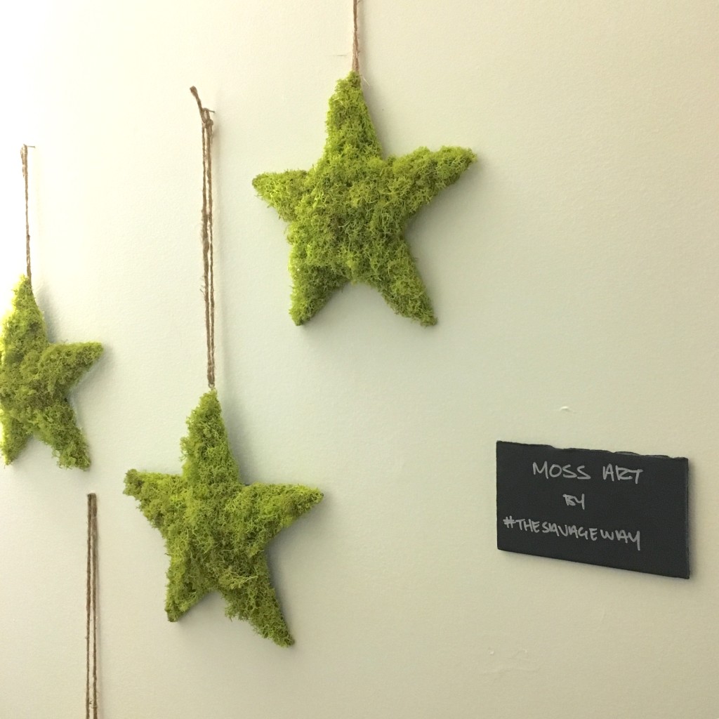 Moss Art installation by @thesavageway