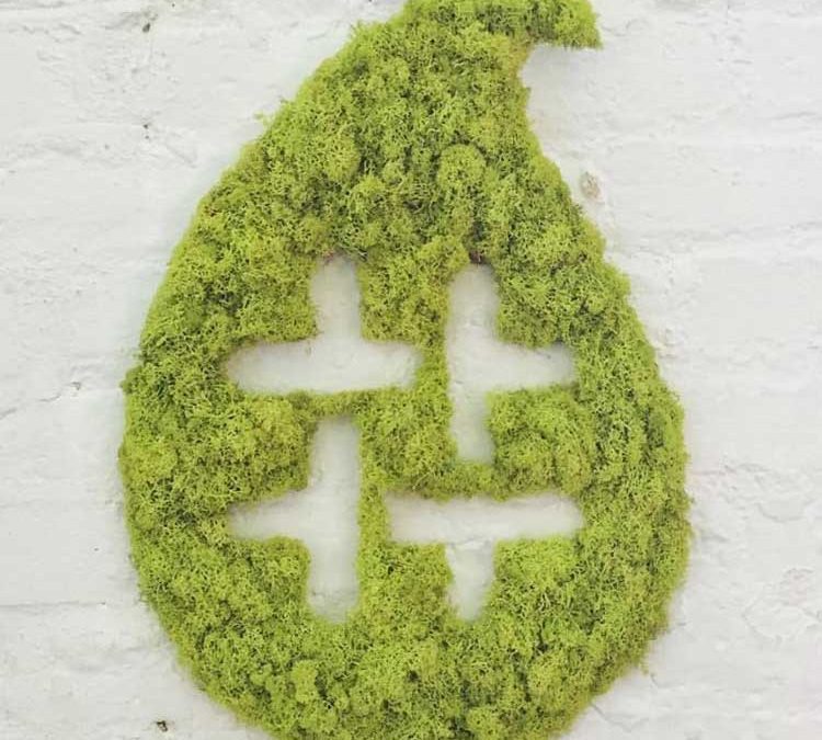 Moss Art in 2015