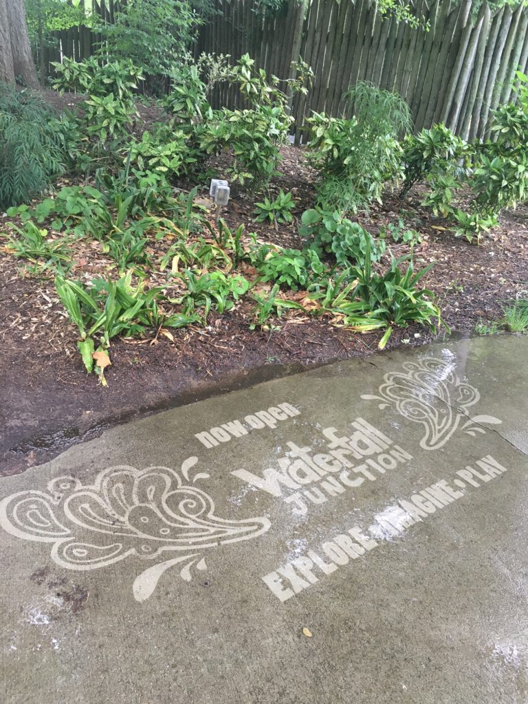 An innovative Clean Graffiti spot by #thesavageway at Riverbanks Zoo in Columbia, SC.