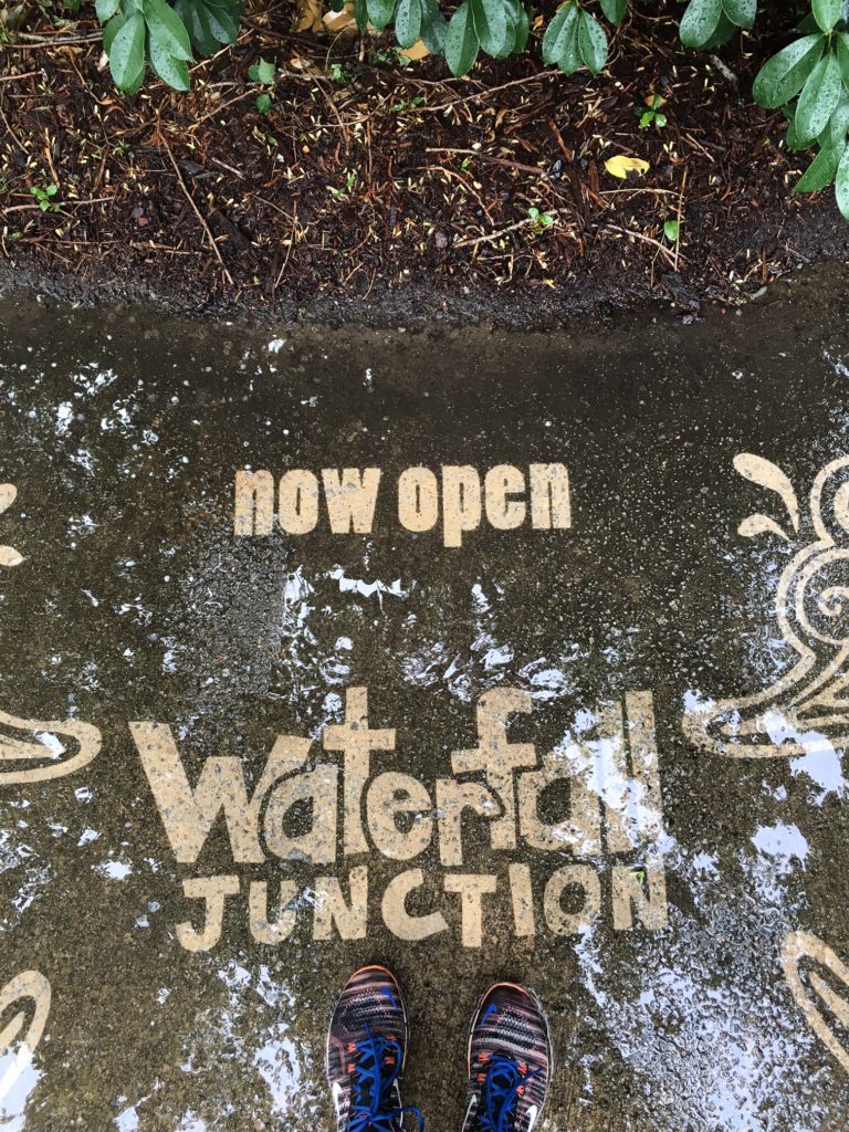 Clean Graffiti used at Riverbanks Zoo to promote the opening of Waterfall Junction. #thesavageway