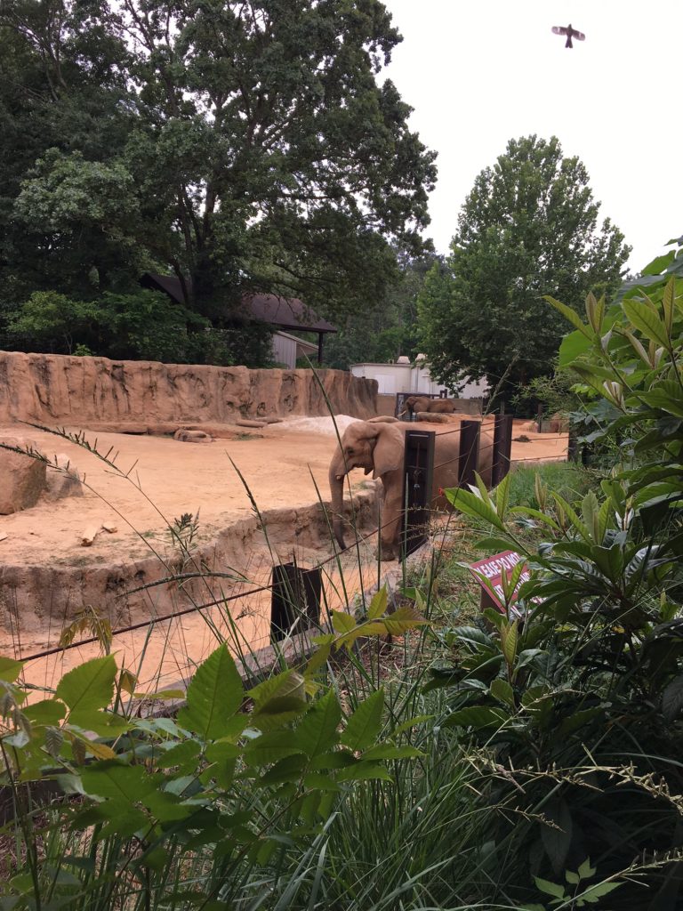Riverbanks Zoo & Garden. #thesavageway