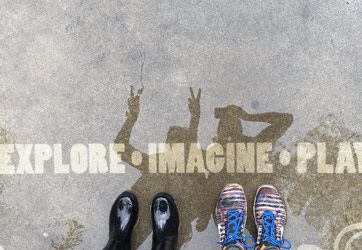 Lions, Tigers and Clean Graffiti…Oh My!