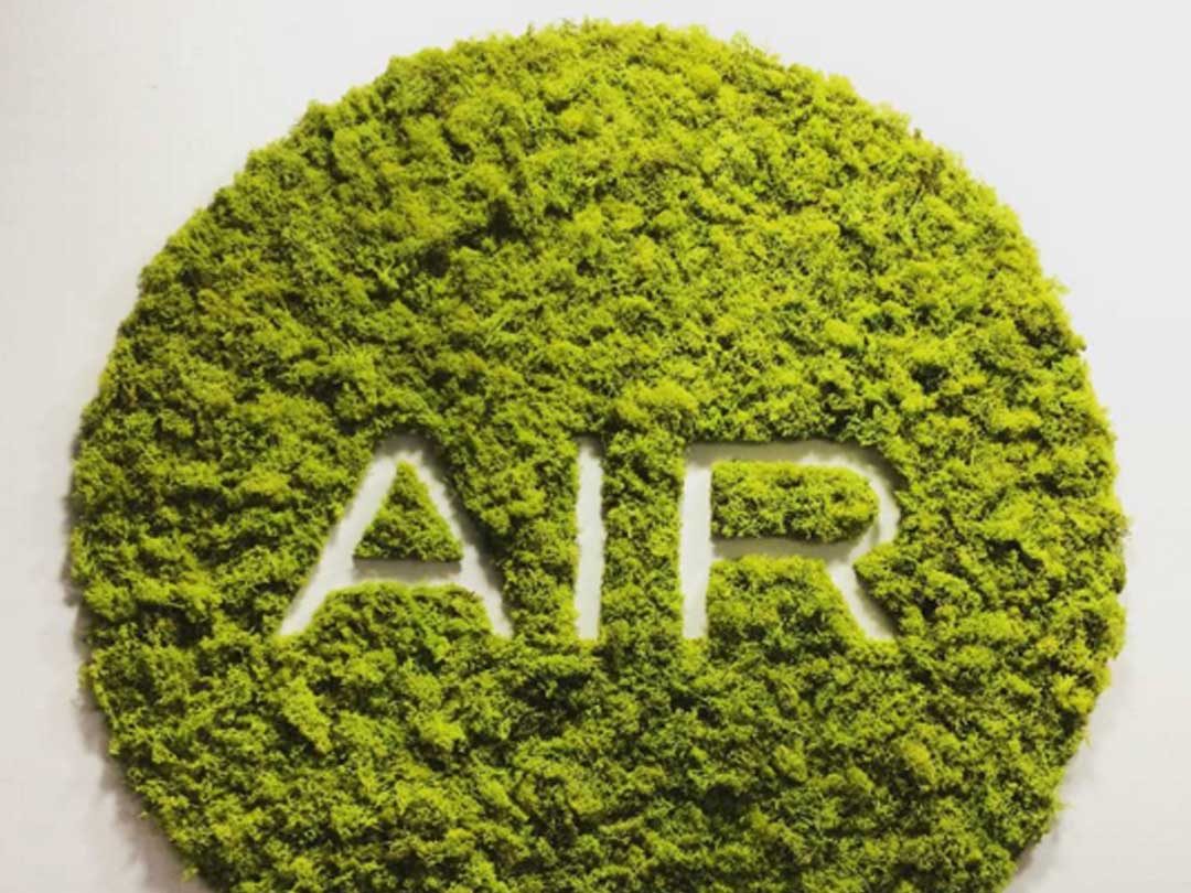 Air Charlotte logo moss art