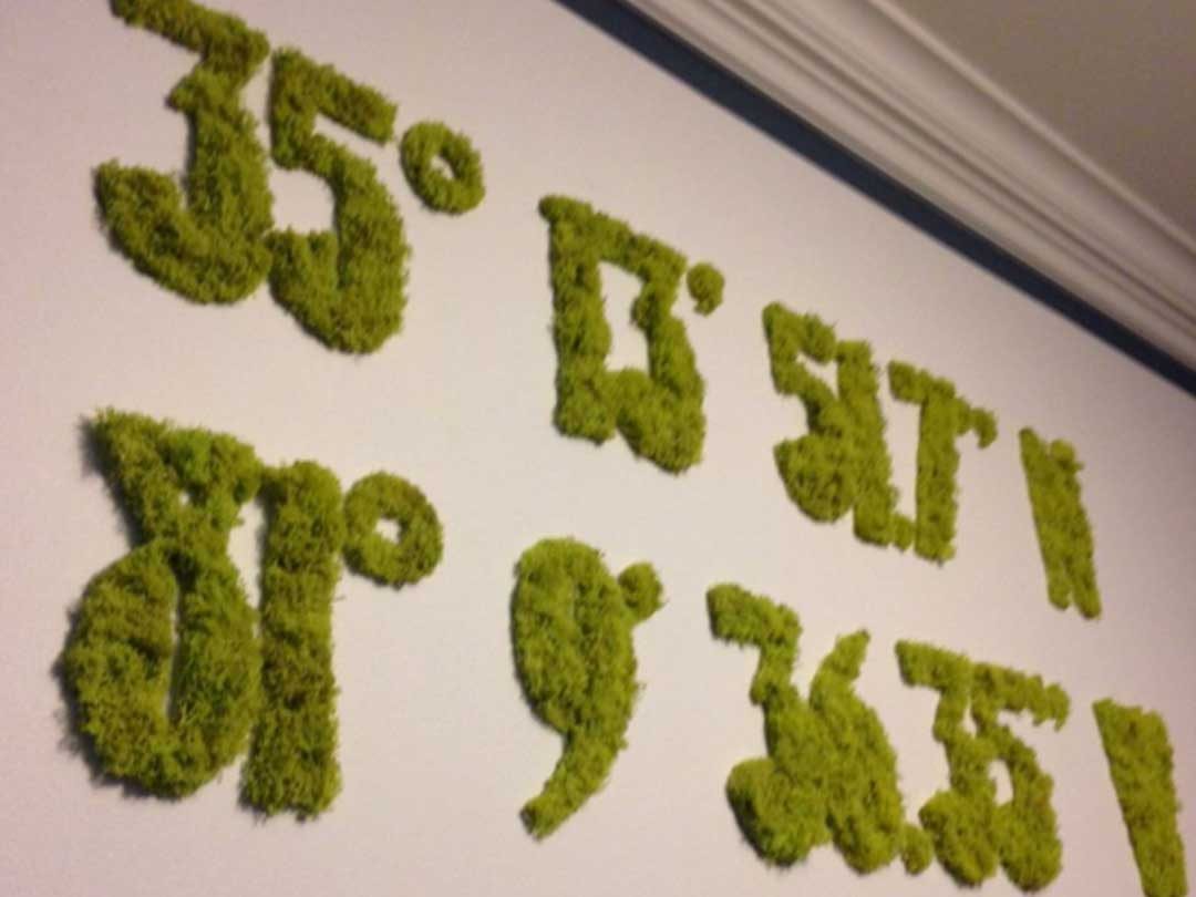Location Coordinates Moss Art