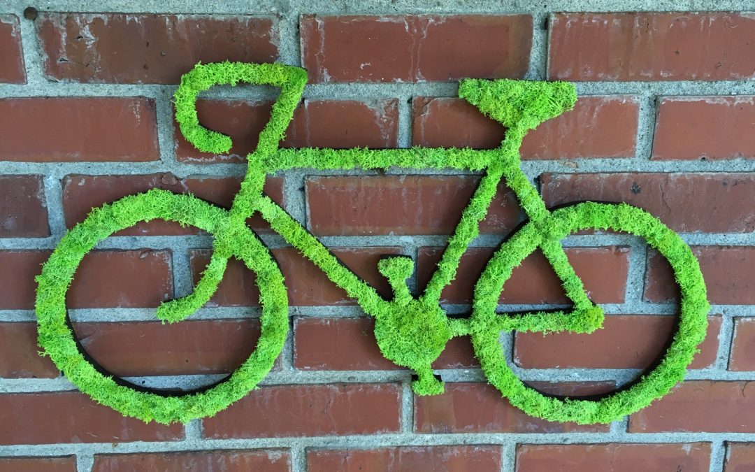 Custom Moss Art Bicycle