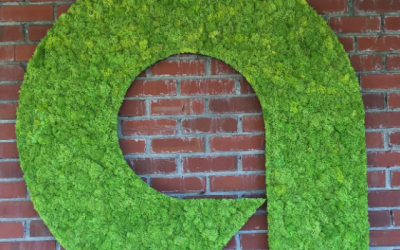 Custom Moss Art: Ally Financial