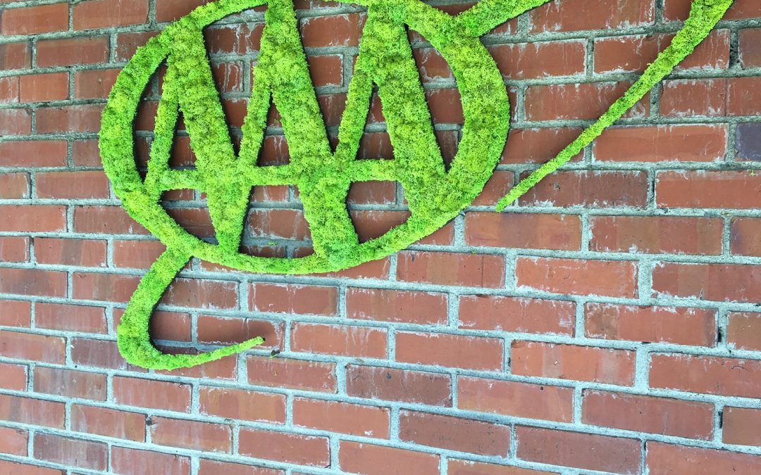 Moss Art: AAA Carolinas