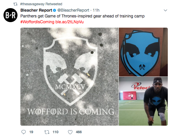 Marketing for the Carolina Panthers