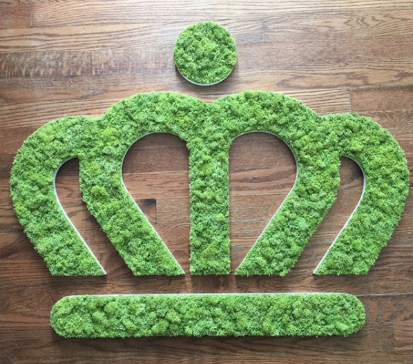 green moss crown