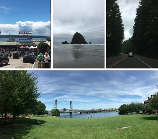 Scenery from the West Coast