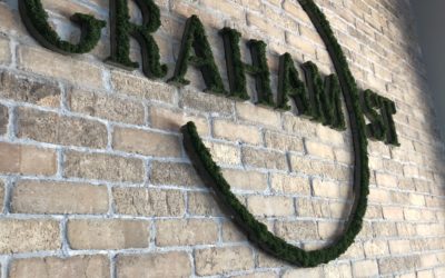 Moss Art for Graham St. Pub & Patio