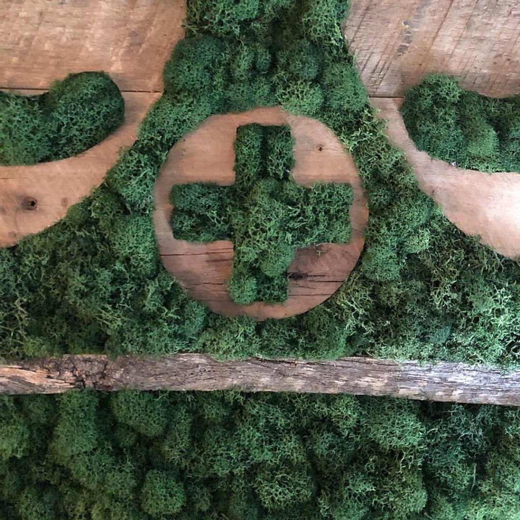 Close up of Moss Art by #thesavageway for Charlotte CBD