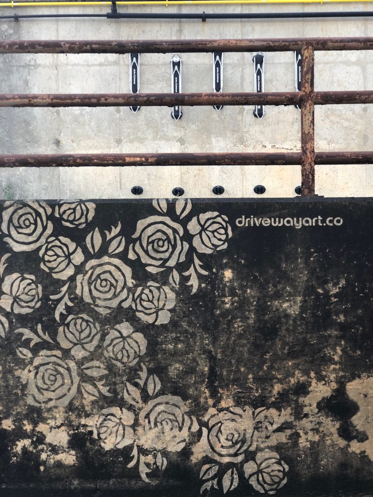 reverse graffiti roses on a vertical wall by drivewayart.co