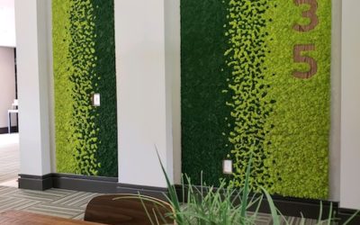 Three30Five Moss Walls Go Up in South End