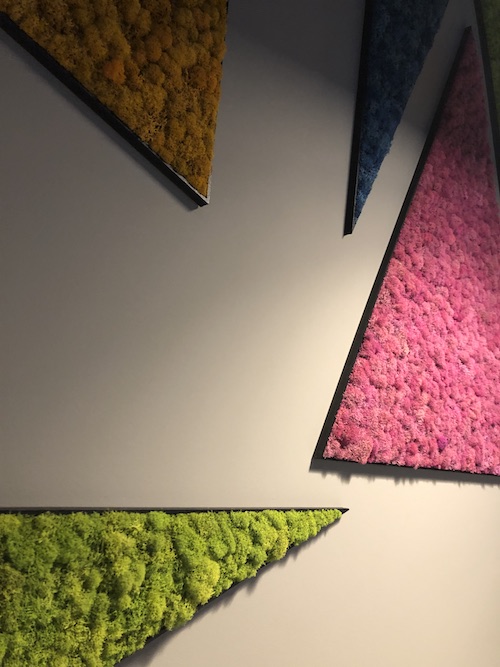 Close up picture of four different moss colors that #thesavageway created for Collective NoDa.