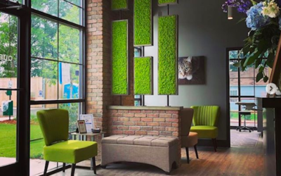 Moss Wall for Modern Animal Hospital