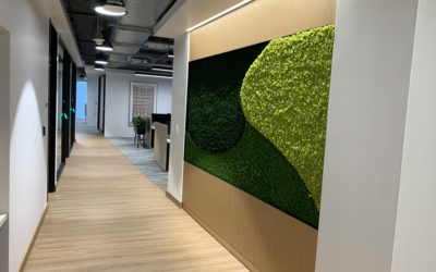Multiple Moss Art Walls for Bank of America