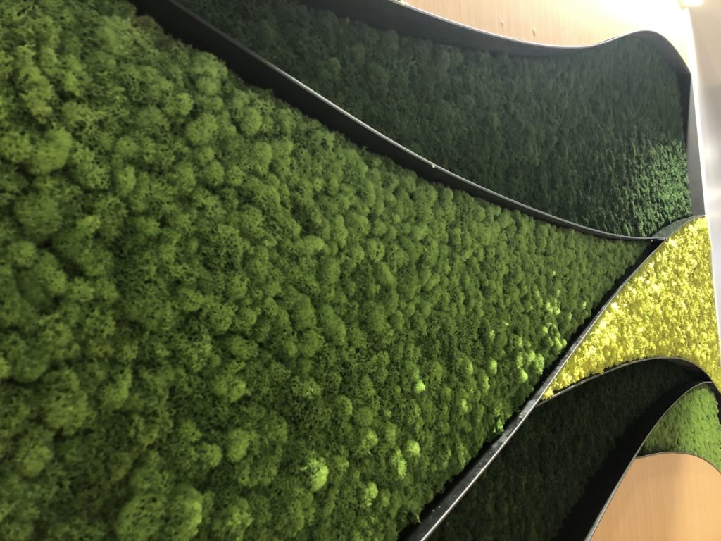 reindeer moss installation on metal and wood