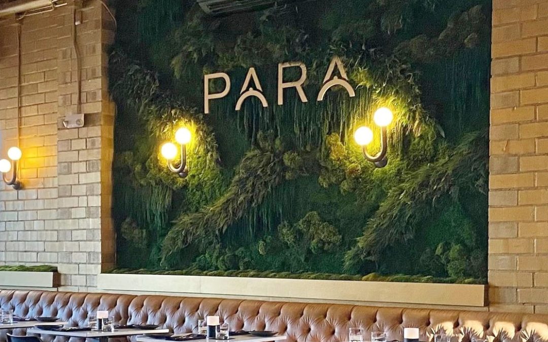 Green Wall for Para, New Restaurant in Charlotte