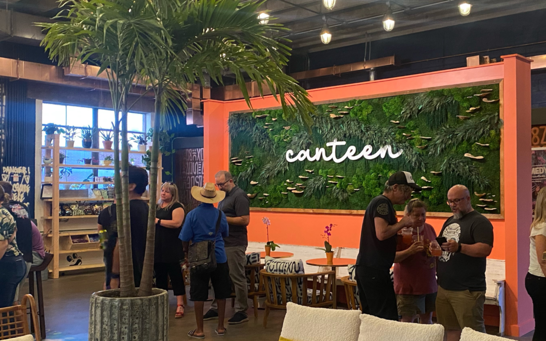 NoDa Canteen Now Open with Huge Moss Wall