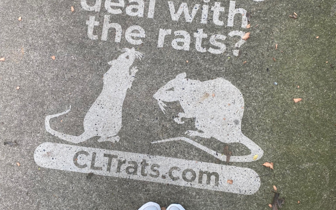 Killingsworth Charlotte Has Creative Outdoor Advertising