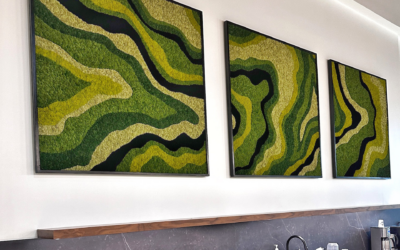 Geode Moss Frames for Global Support & Development