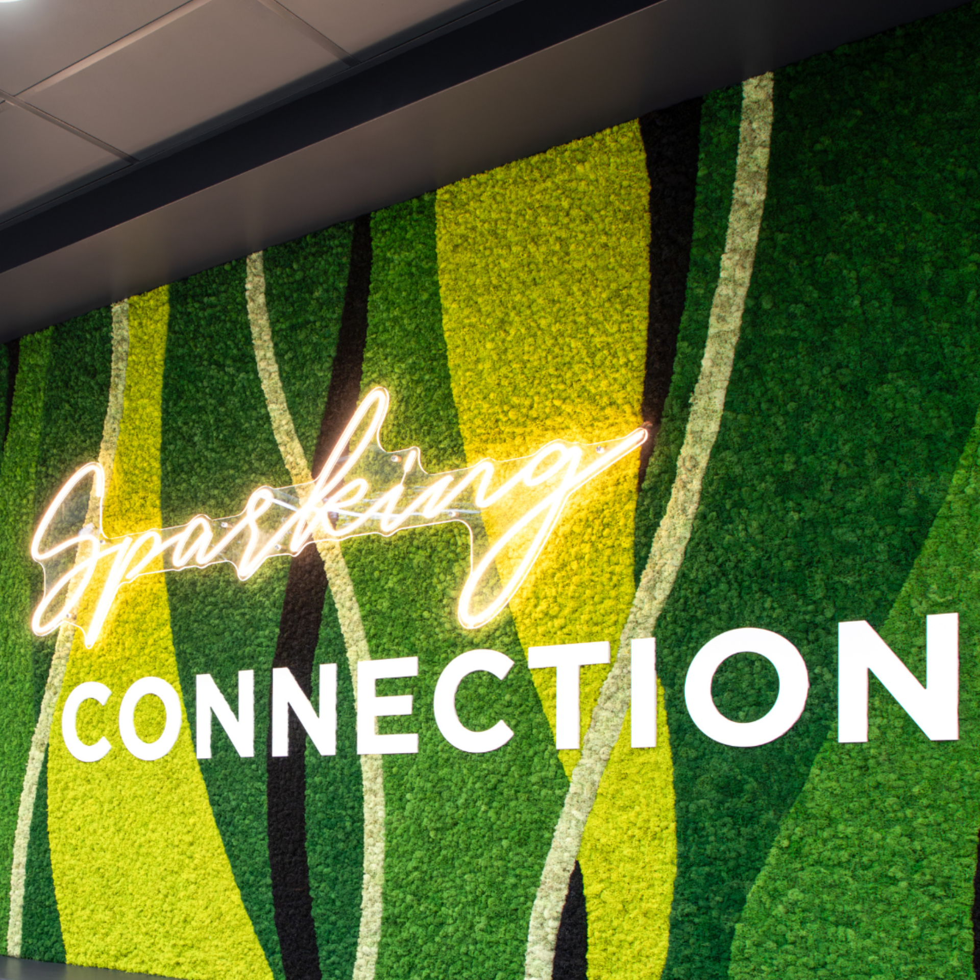 Moss Art: Biophilic Design for Workspaces