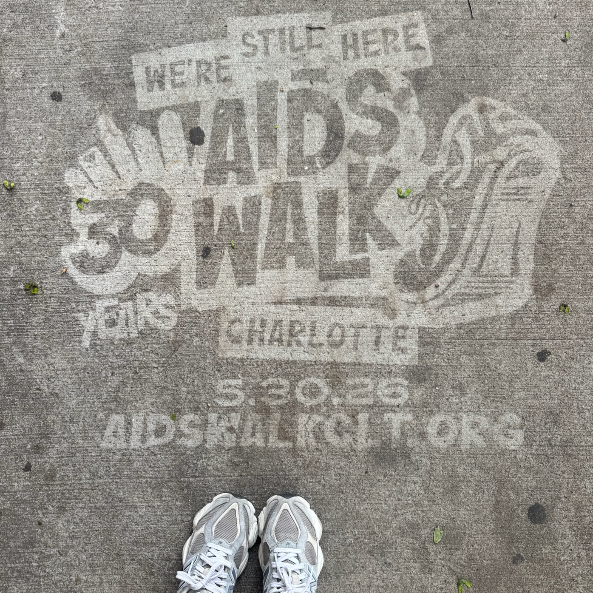 Annual RAIN AIDS Walk Happening May 30