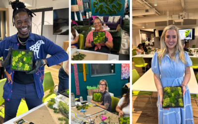 Testimonials About The Moss Art Workshop