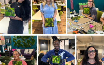 Testimonials About The Moss Art Workshop